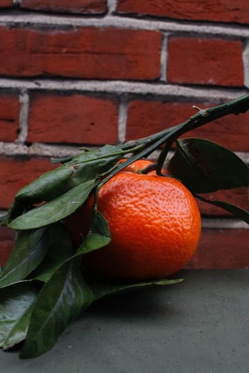 Дивитися фільм Orange Peel 2026 онлайн