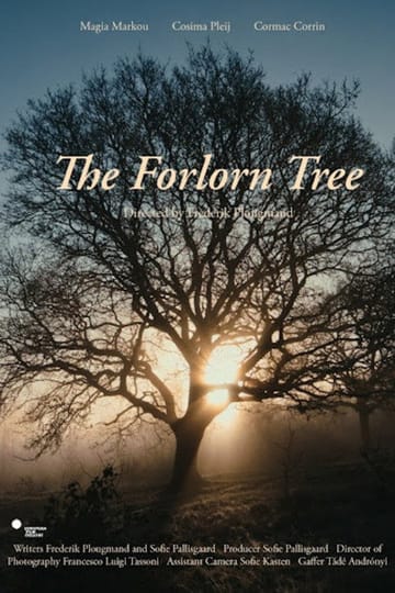 Дивитися фільм The Forlorn Tree 2026 онлайн Дивитися фільм The Forlorn Tree 2026 онлайн