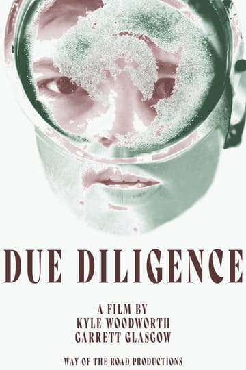 Watch Due Diligence 2026 online