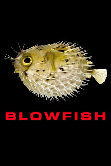 Watch Blowfish 2026 online