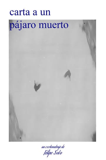 Watch carta a un pájaro muerto 2026 online Watch carta a un pájaro muerto 2026 online