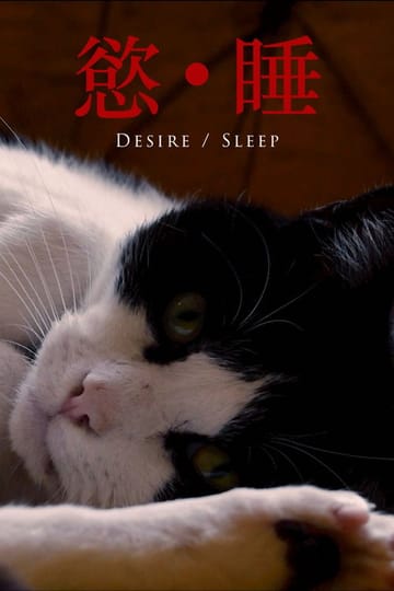Дивитися фільм Desire/Sleep 2026 онлайн