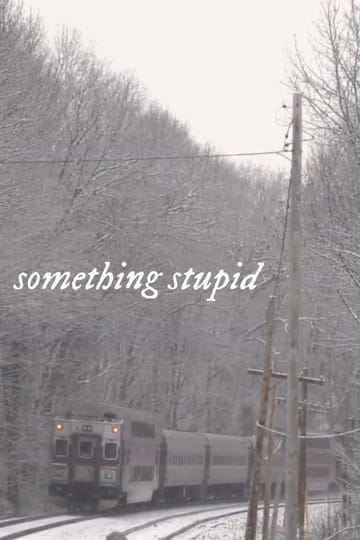Дивитися фільм Something Stupid 2026 онлайн
