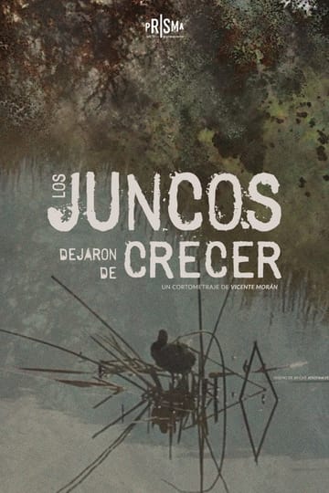 Дивитися фільм Los Juncos Dejaron de Crecer 2026 онлайн