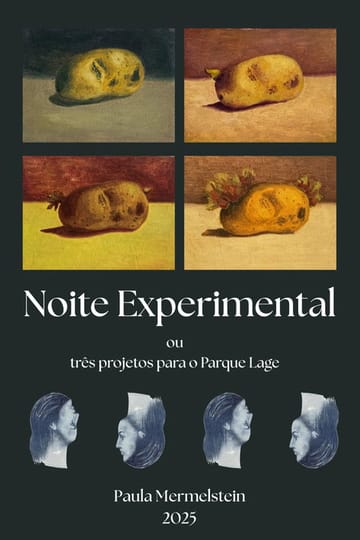 Watch Noite Experimental 2026 online