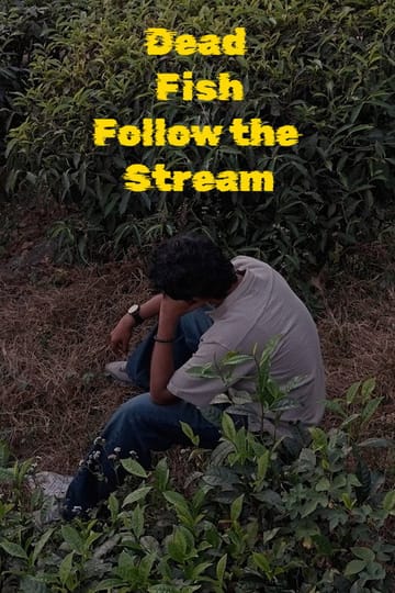 Дивитися фільм Dead Fish Follow the Stream 2026 онлайн Дивитися фільм Dead Fish Follow the Stream 2026 онлайн