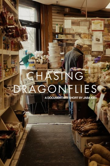 Дивитися фільм Chasing Dragonflies 2026 онлайн