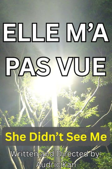 Дивитися фільм Elle M'a Pas Vue 2026 онлайн