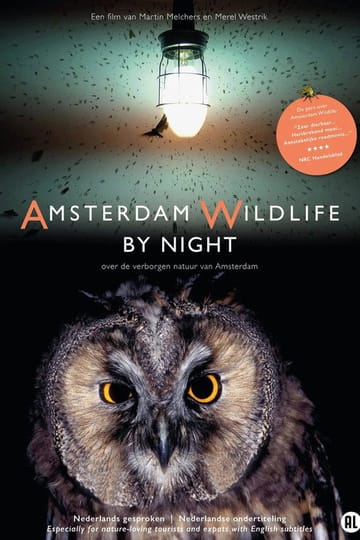 Watch Amsterdam Wildlife by Night 2026 online