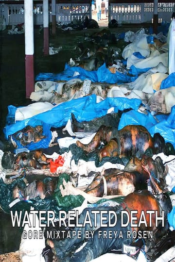 Watch Water Related Death 2026 online Watch Water Related Death 2026 online