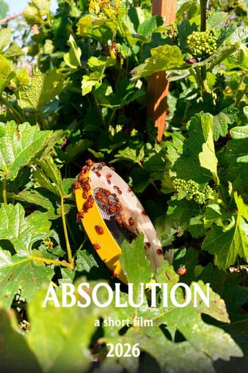 Watch Absolution 2026 online Watch Absolution 2026 online