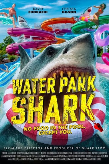 Дивитися фільм Water Park Shark 2026 онлайн Дивитися фільм Water Park Shark 2026 онлайн