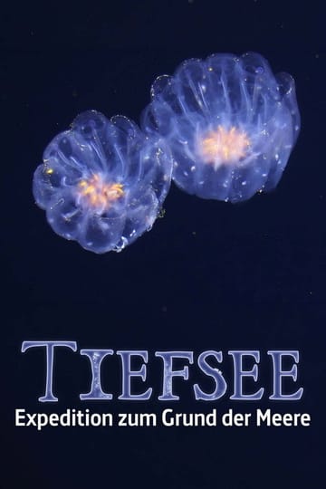 Watch Faszination Tiefsee - Expedition zum Grund der Meere 2026 online