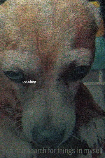 Дивитися фільм Tienda de perros 2026 онлайн