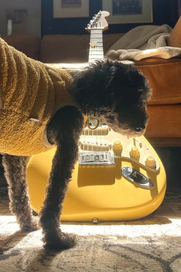 Watch Yellow Guitar 2026 online