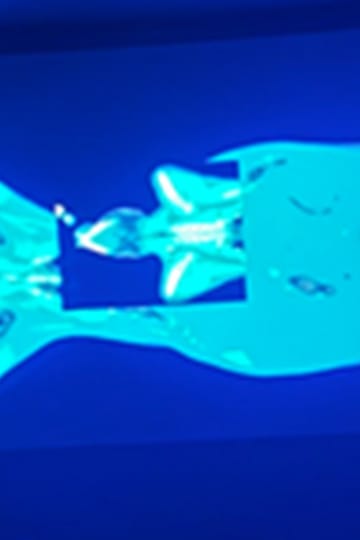 Watch X-Ray Katx 2026 online Watch X-Ray Katx 2026 online