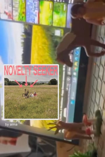 Watch NOVELTY SEEKER 2026 online