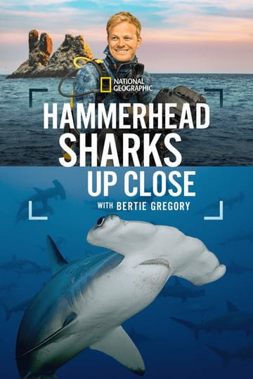 Дивитися фільм Hammerhead Sharks Up Close with Bertie Gregory 2026 онлайн Дивитися фільм Hammerhead Sharks Up Close with Bertie Gregory 2026 онлайн