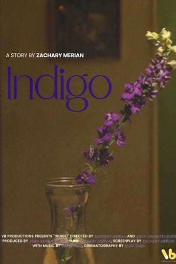 Watch INDIGO 2026 online