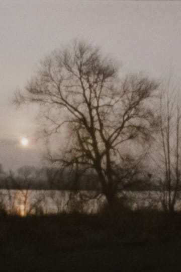 Watch Landscape as Landscape - 27 2026 online