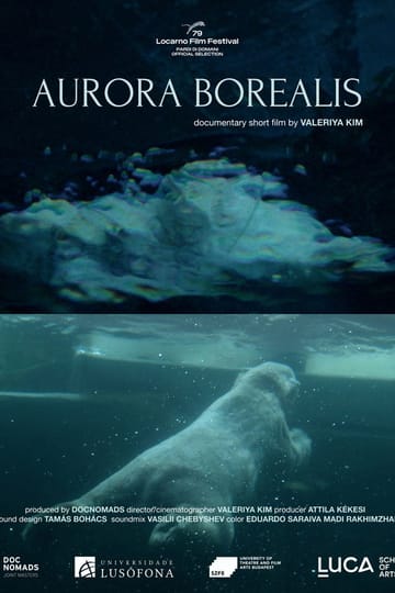 Дивитися фільм Aurora Borealis 2026 онлайн