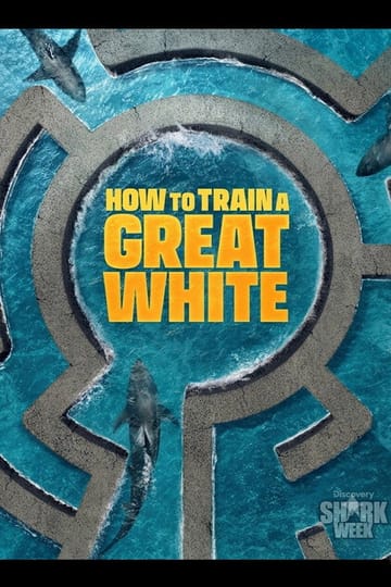 Дивитися фільм How to Train a Great White 2026 онлайн