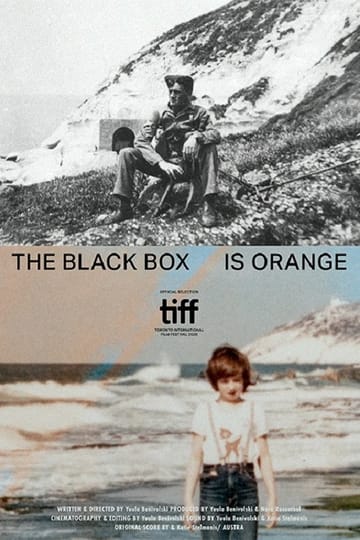 Дивитися фільм The Black Box is Orange 2026 онлайн
