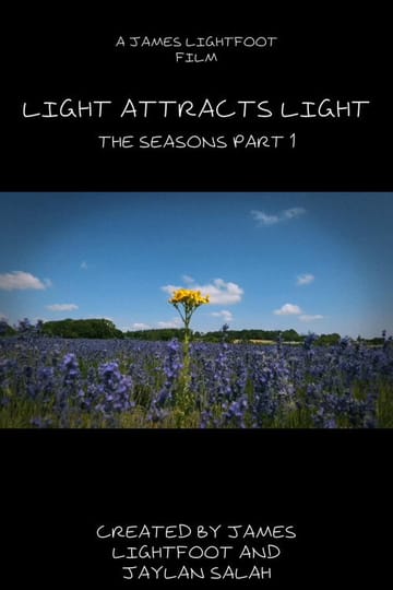 Watch Light Attracts Light 2026 online Watch Light Attracts Light 2026 online