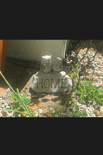 Watch HOME.mp4 2026 online