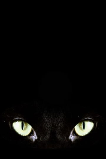 Watch Halloween Claws 2026 online