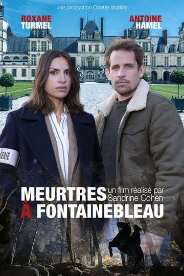 Watch Meurtres à Fontainebleau 2026 online