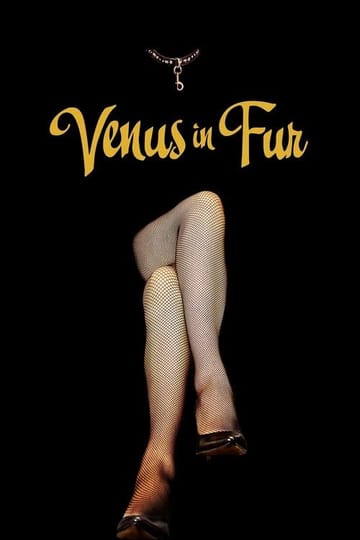 Watch La Vénus à la fourrure 2013 online Watch La Vénus à la fourrure 2013 online