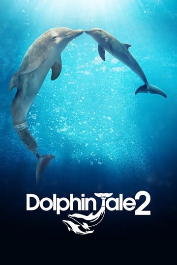 Watch Dolphin Tale 2 2014 online Watch Dolphin Tale 2 2014 online
