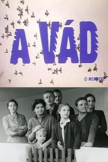 Watch A vád 1996 online Watch A vád 1996 online