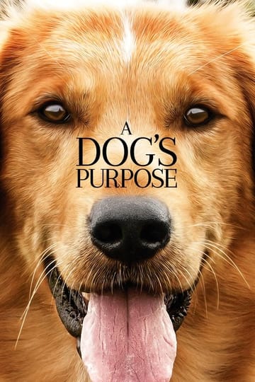 Watch A Dog's Purpose 2017 online Watch A Dog's Purpose 2017 online