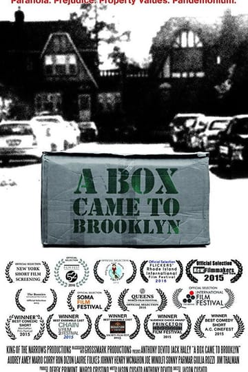 Дивитися фільм A Box Came to Brooklyn 2015 онлайн Дивитися фільм A Box Came to Brooklyn 2015 онлайн