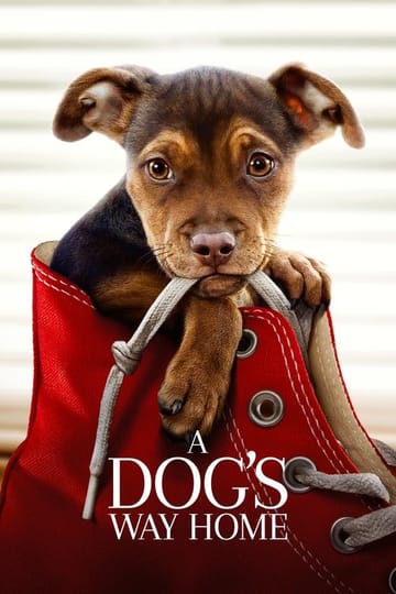 Watch A Dog's Way Home 2019 online