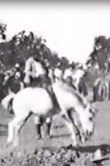 Дивитися фільм Cavalier sur un cheval rétif 1896 онлайн