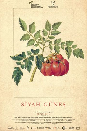 Watch Siyah Güneş 2019 online