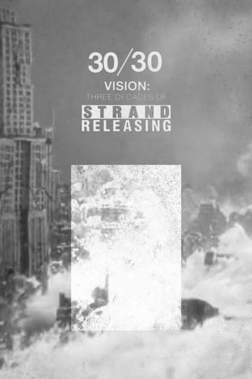 Watch 30/30 Vision: Three Decades of Strand Releasing 2019 online Watch 30/30 Vision: Three Decades of Strand Releasing 2019 online