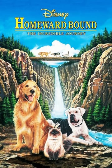Watch Homeward Bound: The Incredible Journey 1993 online Watch Homeward Bound: The Incredible Journey 1993 online