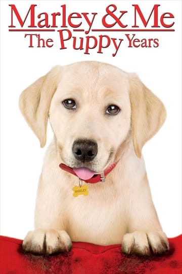 Watch Marley & Me: The Puppy Years 2011 online Watch Marley & Me: The Puppy Years 2011 online