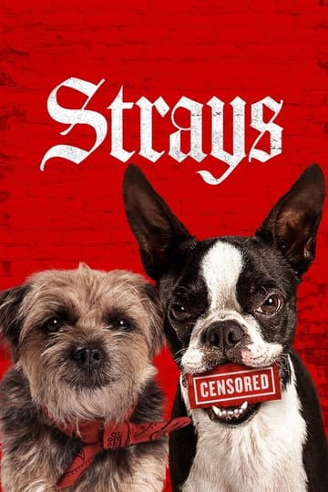 Watch Strays 2023 online