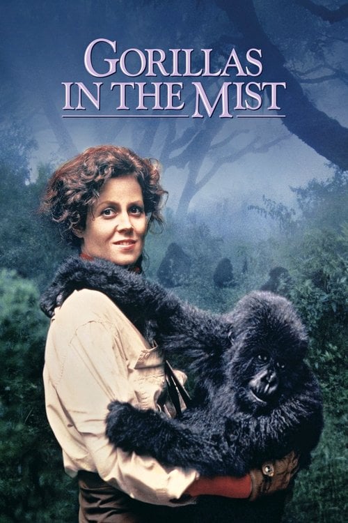 Watch Gorillas in the Mist 1988 online