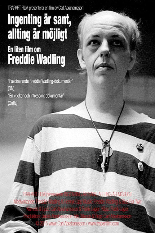 Дивитися фільм Ingenting är sant, allting är möjligt – en liten film om Freddie Wadling 2015 онлайн