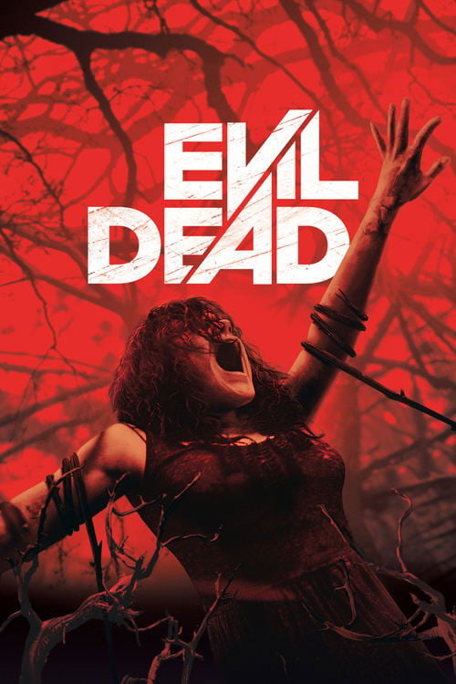 Watch Evil Dead 2013 online