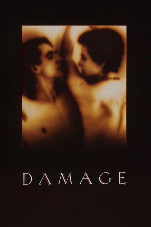 Watch Damage 1992 online