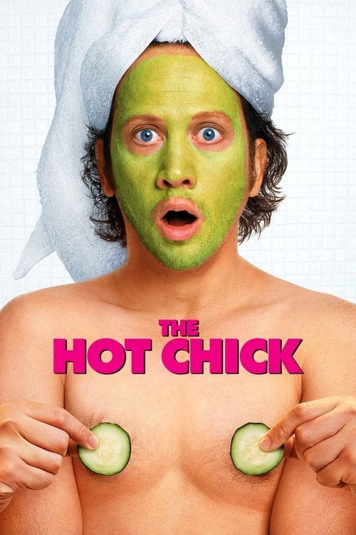 Watch The Hot Chick 2002 online