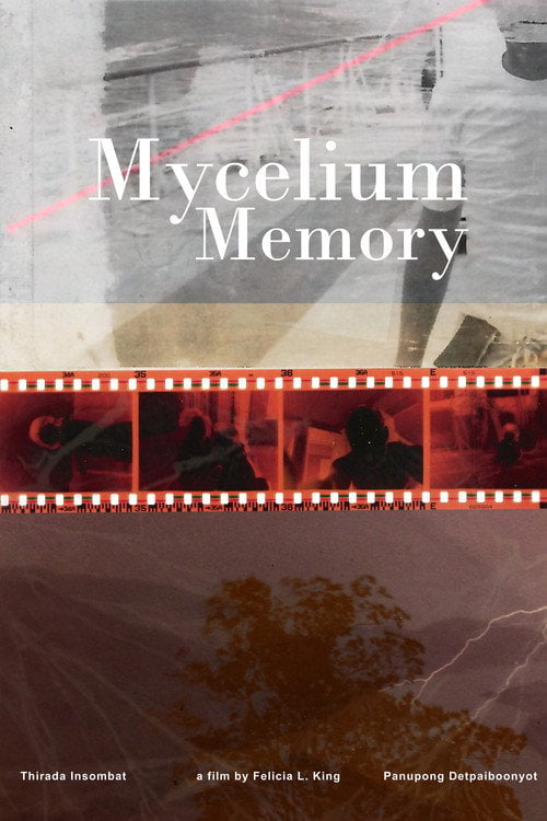 Дивитися фільм Mycelium Memory 2024 онлайн