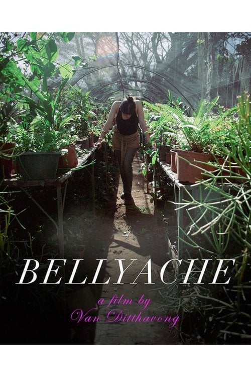 Дивитися фільм Bellyache 2026 онлайн